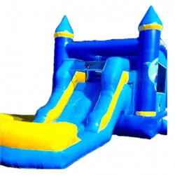 Dolphin Bounce House with Water Slide